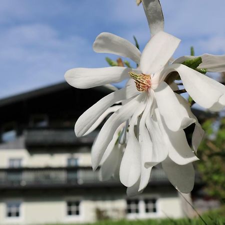 Haus Brandstatter Apartment Eben Im Pongau Exterior foto