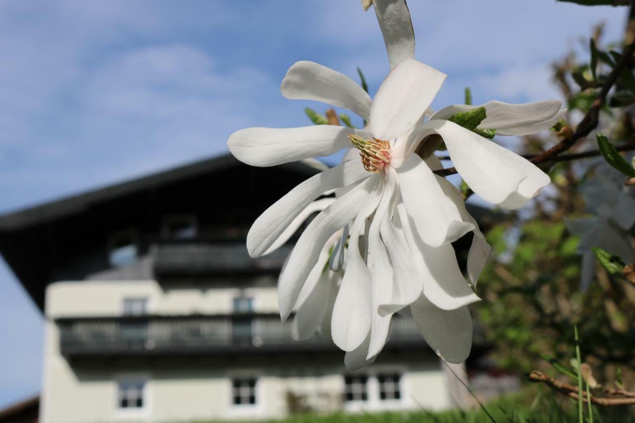 Haus Brandstatter Apartment Eben Im Pongau Exterior foto